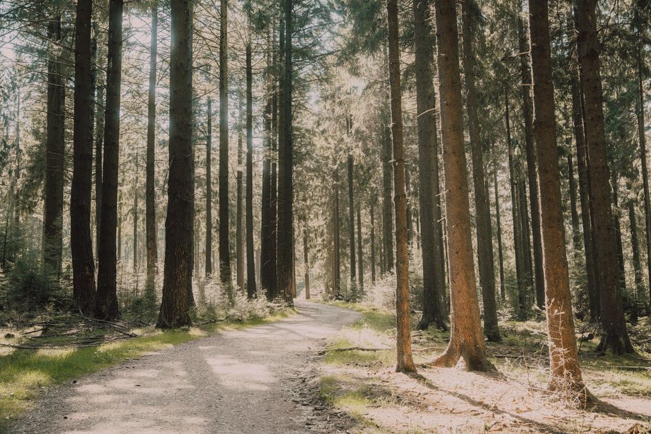 A Balanced Approach To Wellness as the Years Add Up