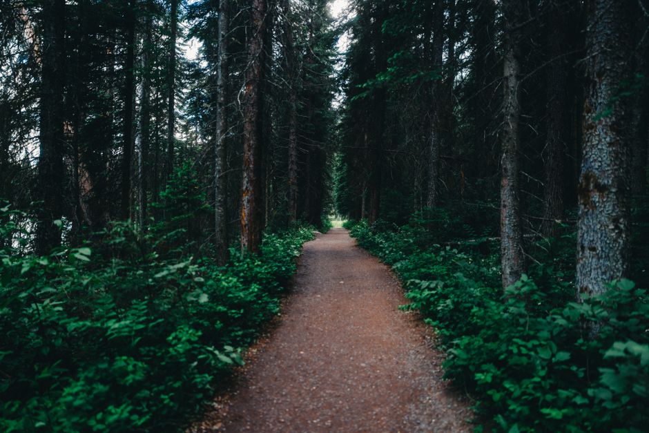 A Balanced Approach To Wellness: Making It Part of Your Day