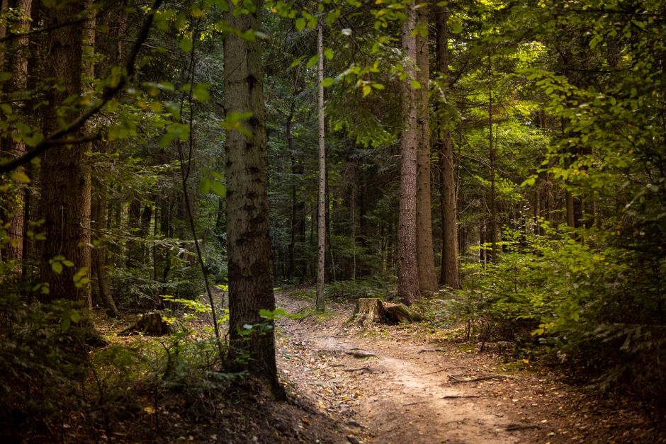 A Balanced Approach To Wellness: Sorting Fact From Fiction