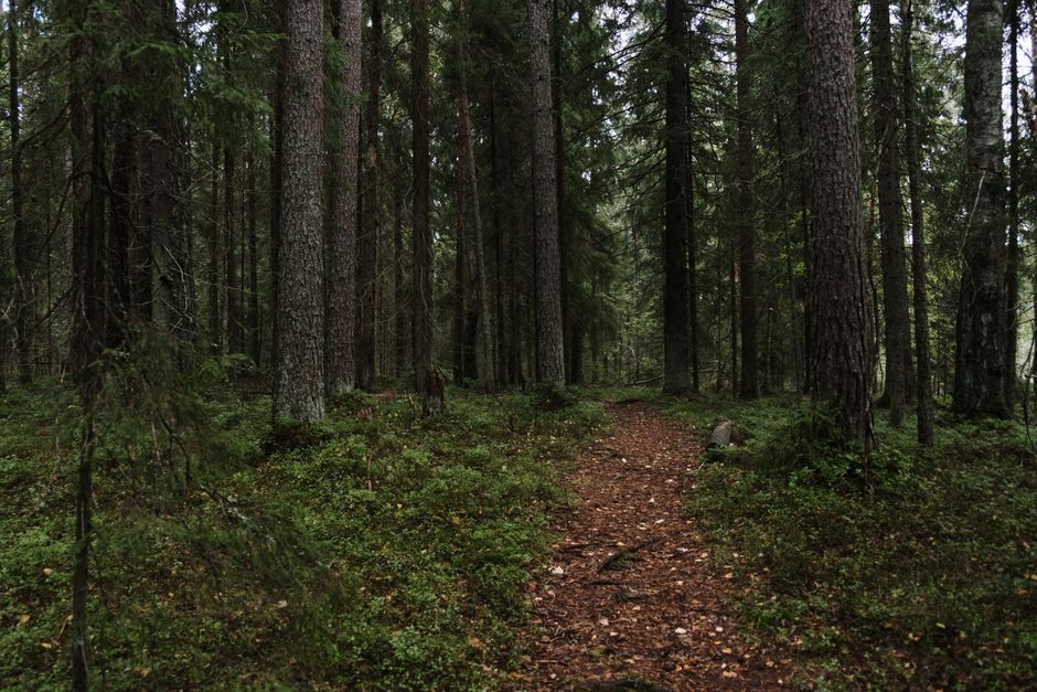 A Balanced Approach To Wellness When You're Short on Time