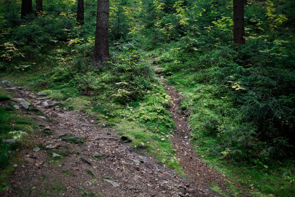 A Balanced Approach To Wellness: Where to Start