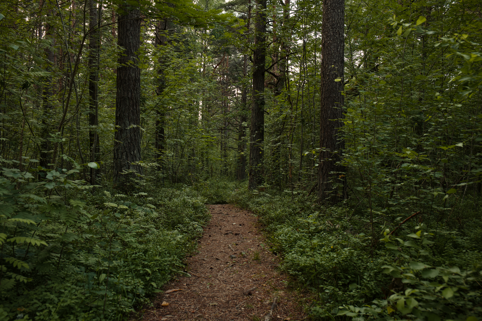 A Step-by-Step Look at Wellness At Different Life Stages
