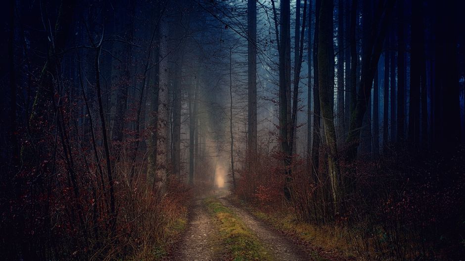 A Step-by-Step Look at Wellness Without Perfectionism