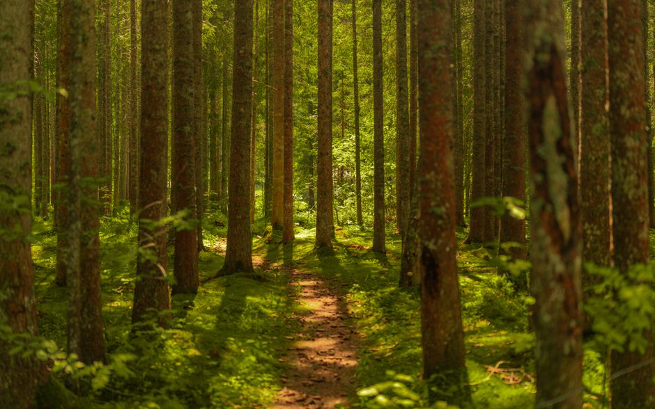 Building a Daily Routine Around The Connection Between Body And Mind