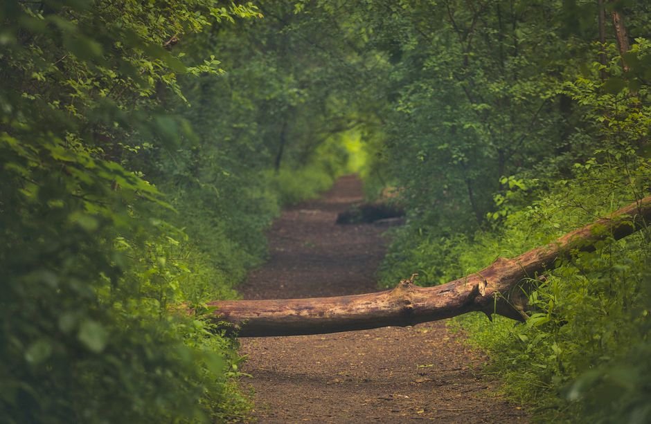 Building Positive Daily Routines: Common Mistakes to Avoid