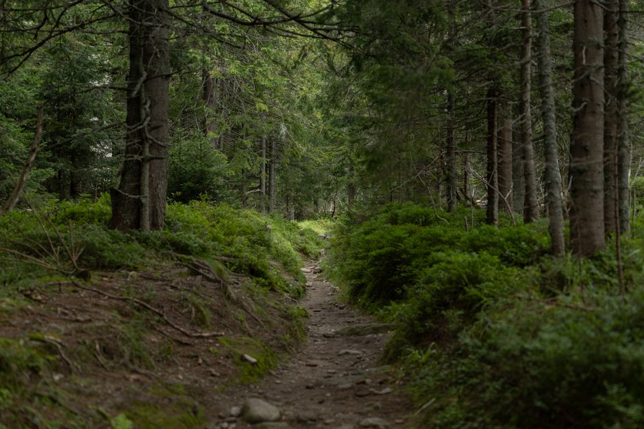 Caring For Your Overall Health: What Changes With Age