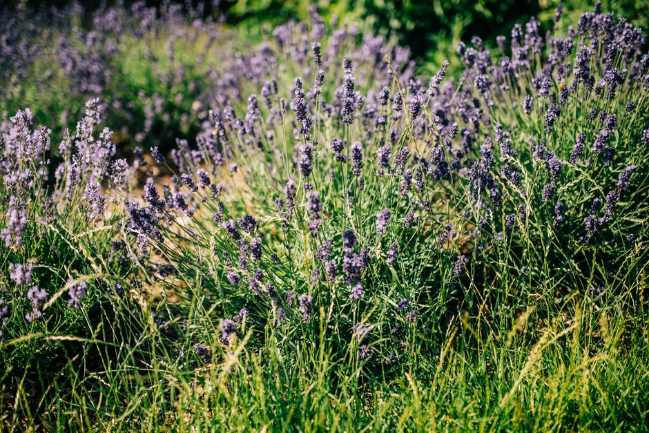 Finding Your Footing With Seasonal Changes And How The Body Responds, Day by Day
