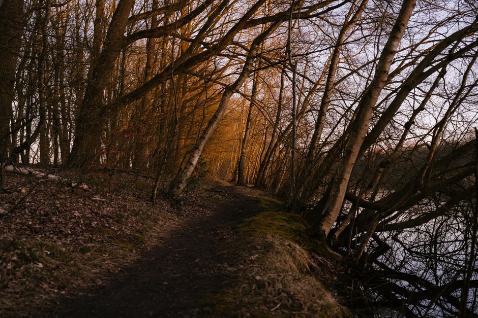 Getting Started With Motivation, Discipline And Self-Compassion