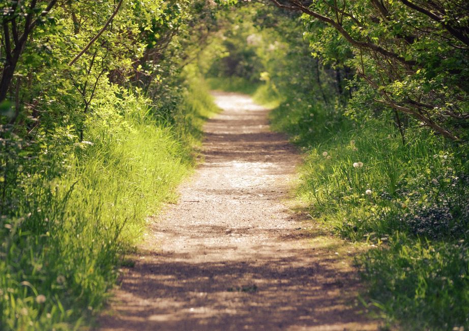 Health As A Daily Practice: A Simple Checklist