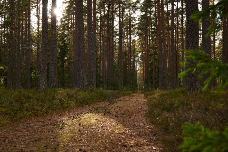 Health As A Daily Practice: Myths and Facts