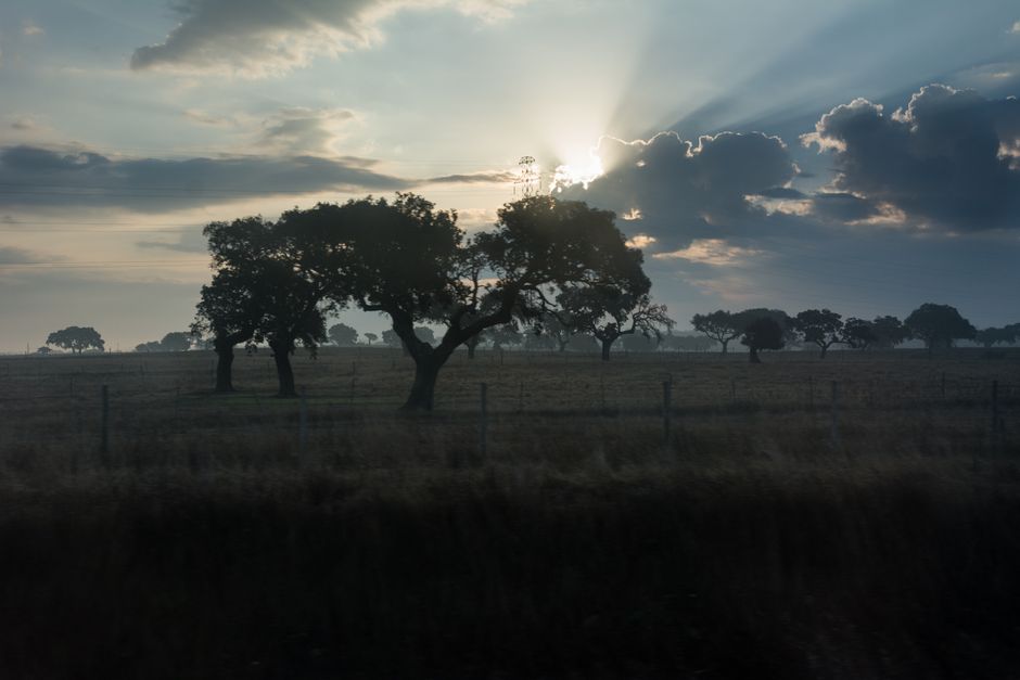 Health Over A Lifetime, Not A Season: The Honest Version