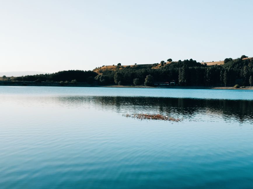 Living Well With Tracking, Measuring And When To Stop in Mind, Starting Today