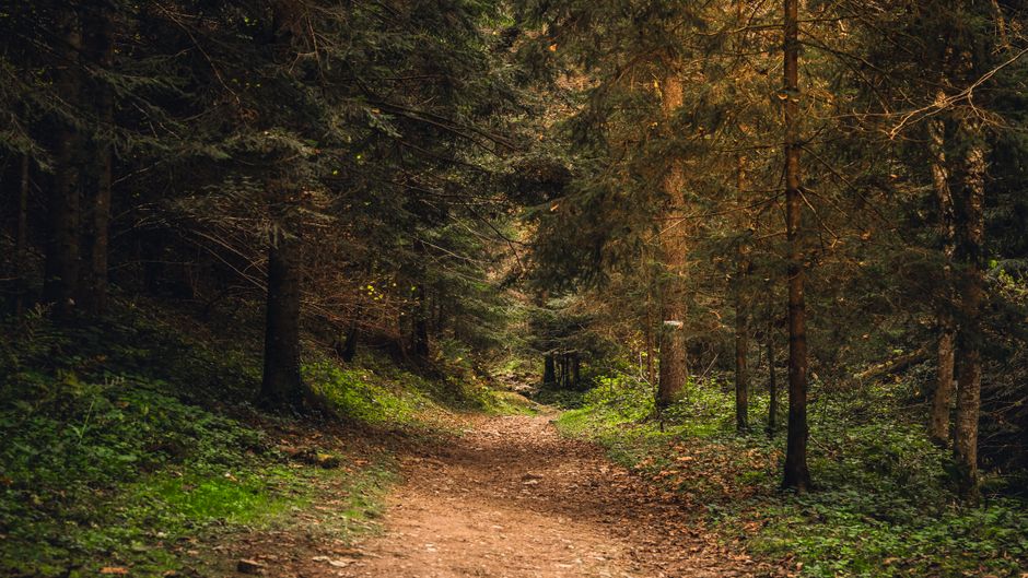 Rethinking Stress That Helps And Stress That Wears, Without Overthinking It