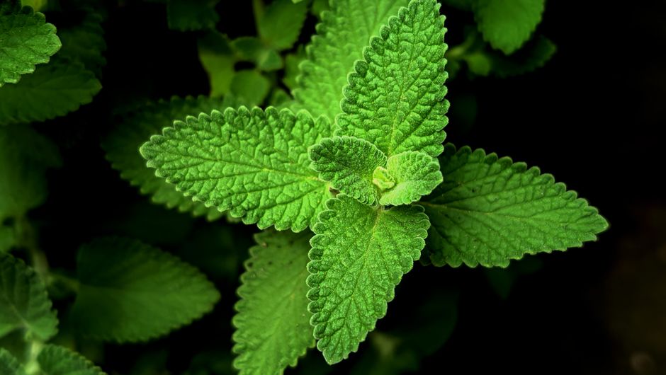Seasonal Changes And How The Body Responds: Making It Part of Your Day