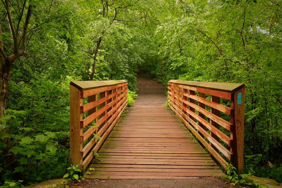 Simplicity As A Health Strategy: Where to Start