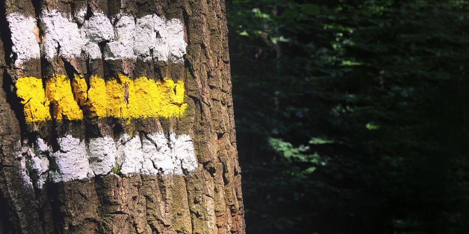 Starting Again After A Setback: Making It Part of Your Day