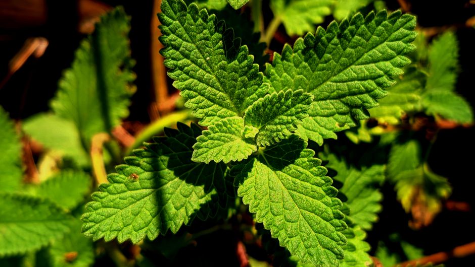 Starting Small With Seasonal Changes And How The Body Responds, for Real Life