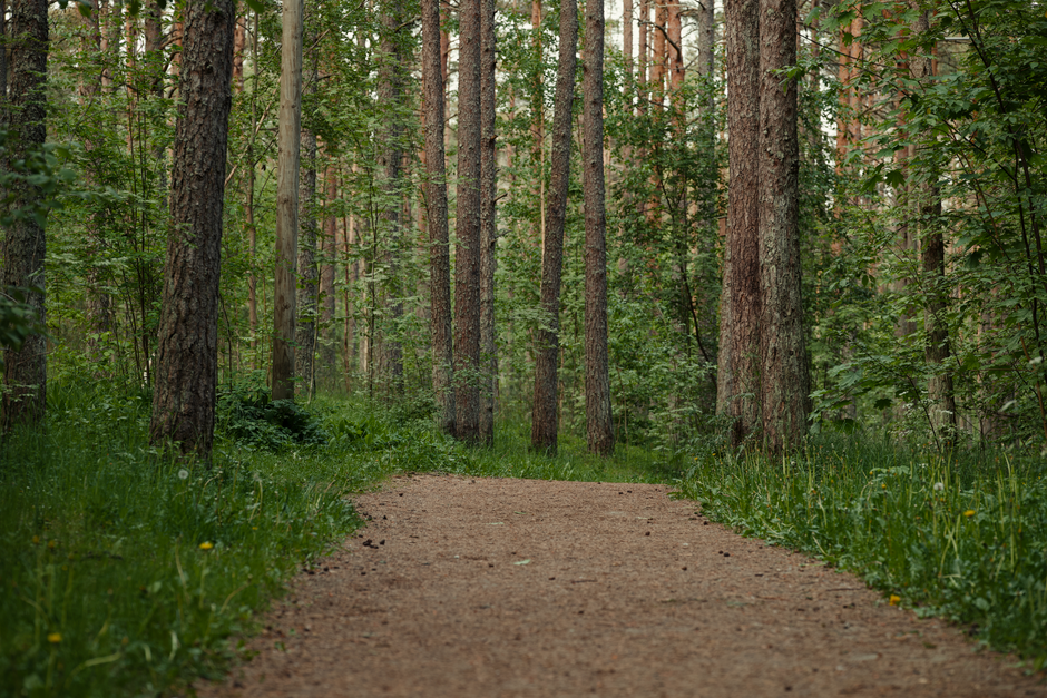 Stress: Signal, Response And Recovery: Myths and Facts