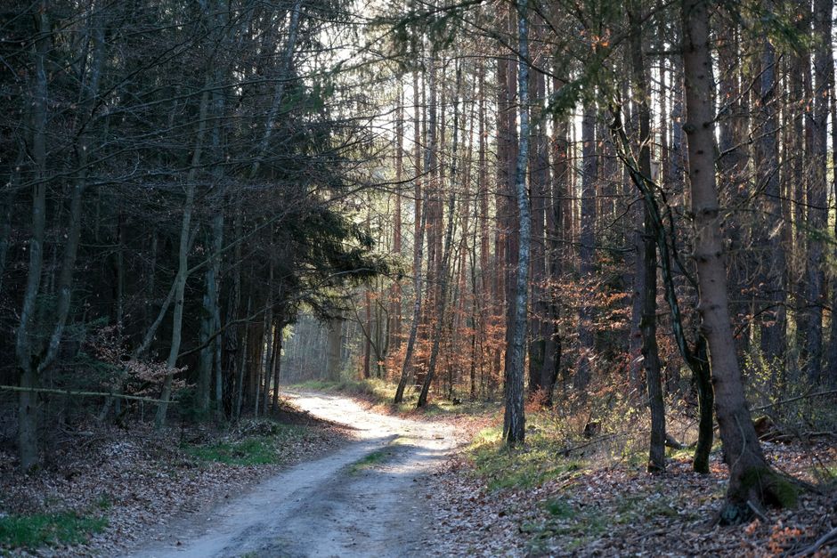 The Connection Between Body And Mind: A Simple Checklist