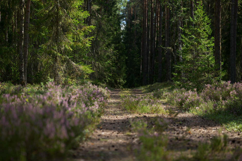 The Habit Of Moving Through The Day: A Simple Checklist