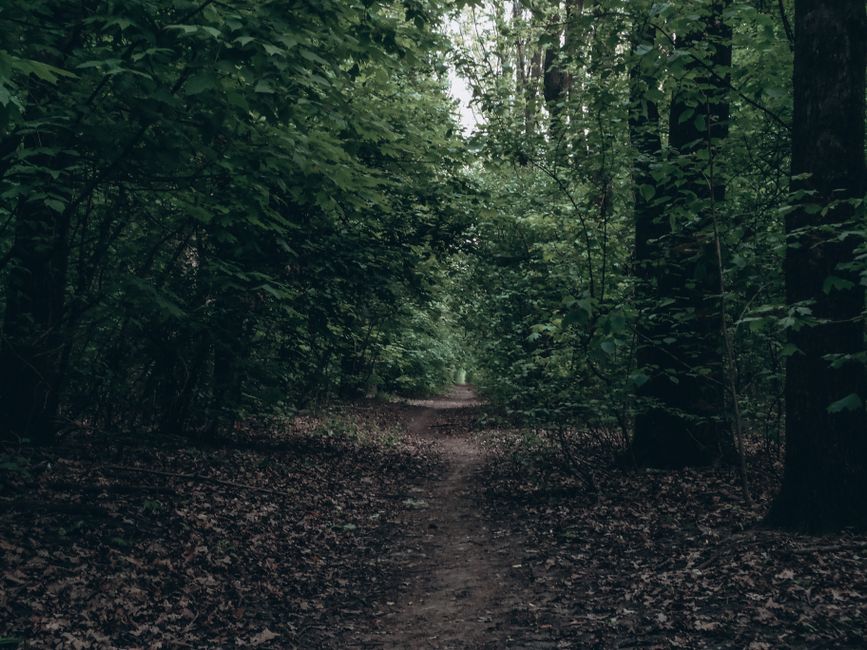 The Habit Of Moving Through The Day: Sorting Fact From Fiction
