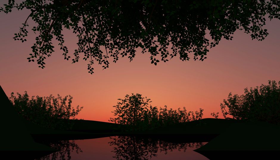 The Long View Of Well-Being: Making It Part of Your Day