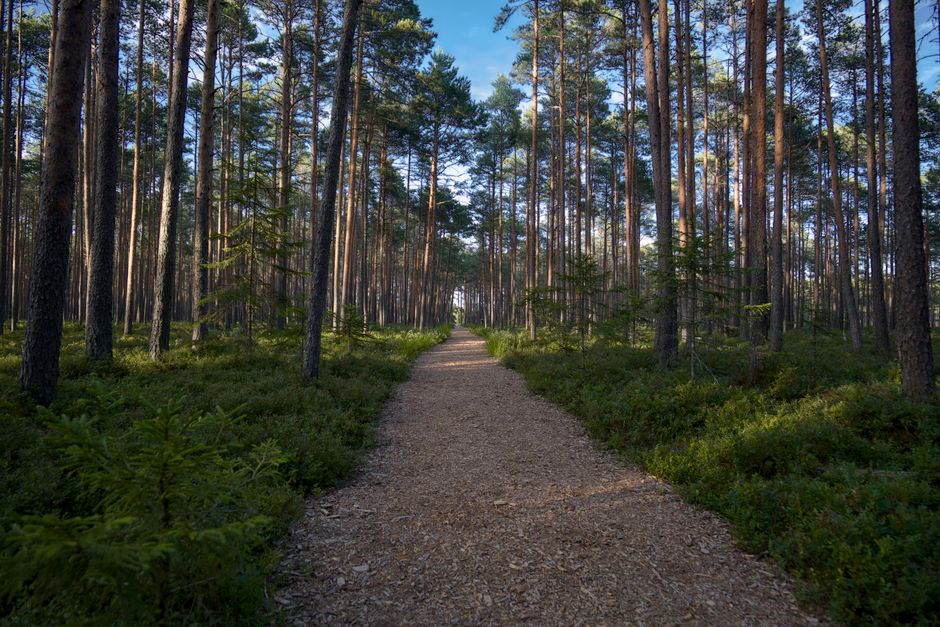 The Ordinary Virtues Of Walking in Your 40s, 50s and Beyond