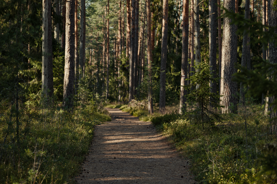 The Ordinary Virtues Of Walking: Sorting Fact From Fiction