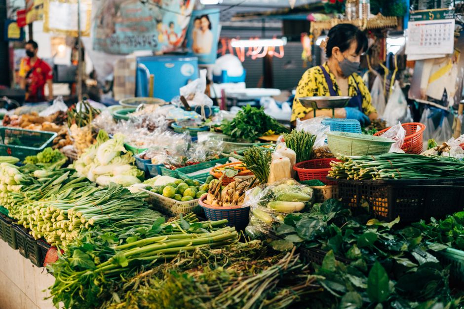 The Role Of Environment In Health: A Time-Friendly Approach