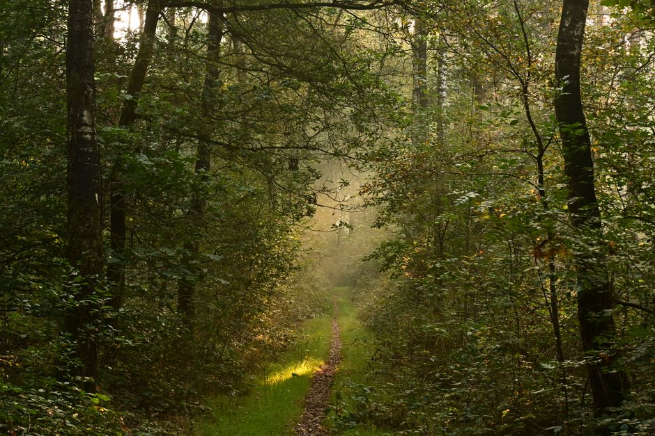 The Social Side Of Well-Being: A Simple Checklist