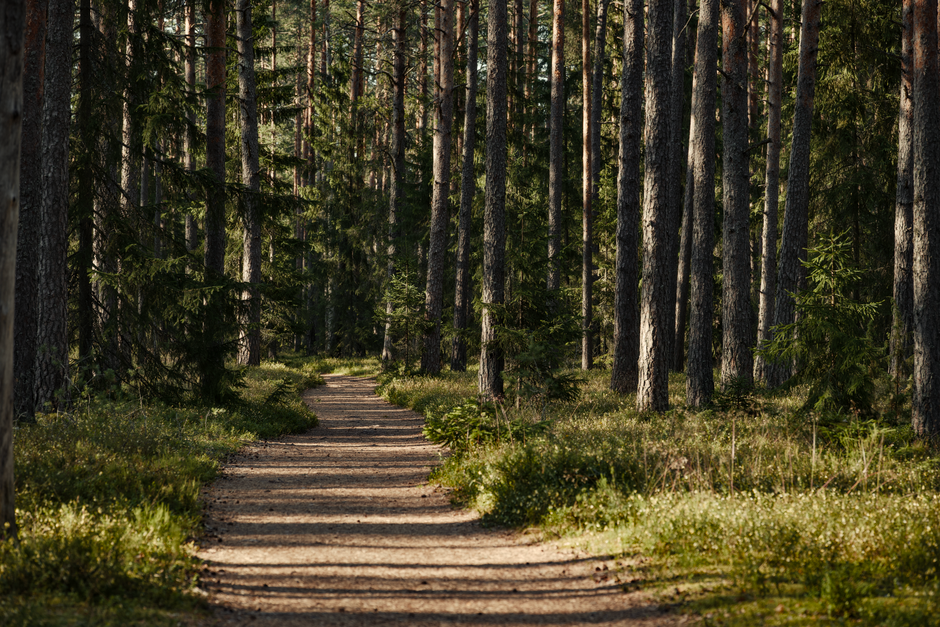 The Social Side Of Well-Being for Busy People