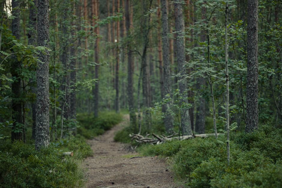 The Social Side Of Well-Being: Making It Part of Your Day