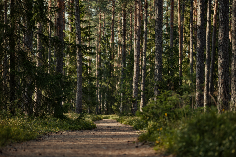 Time, Attention And Health: Myths and Facts — Part 2