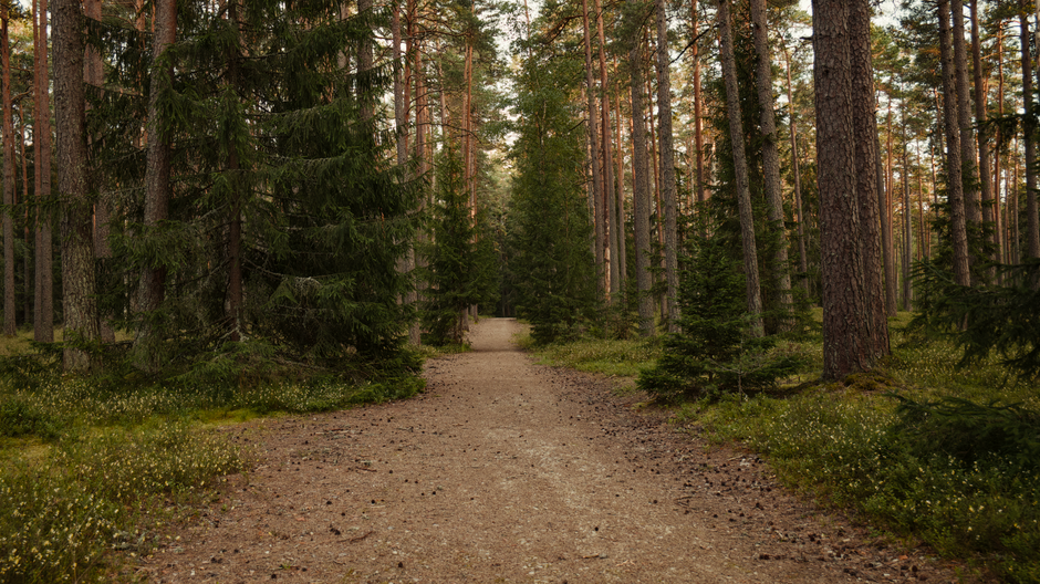 Understanding Health And Wellness: Sorting Fact From Fiction