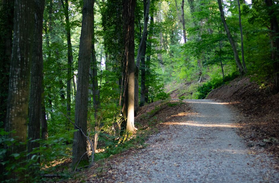Small Wins With Understanding Health And Wellness, One Step at a Time