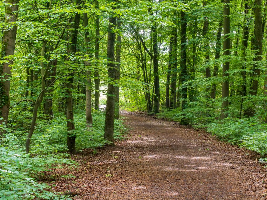 Understanding The Habit Of Moving Through The Day in Plain Terms