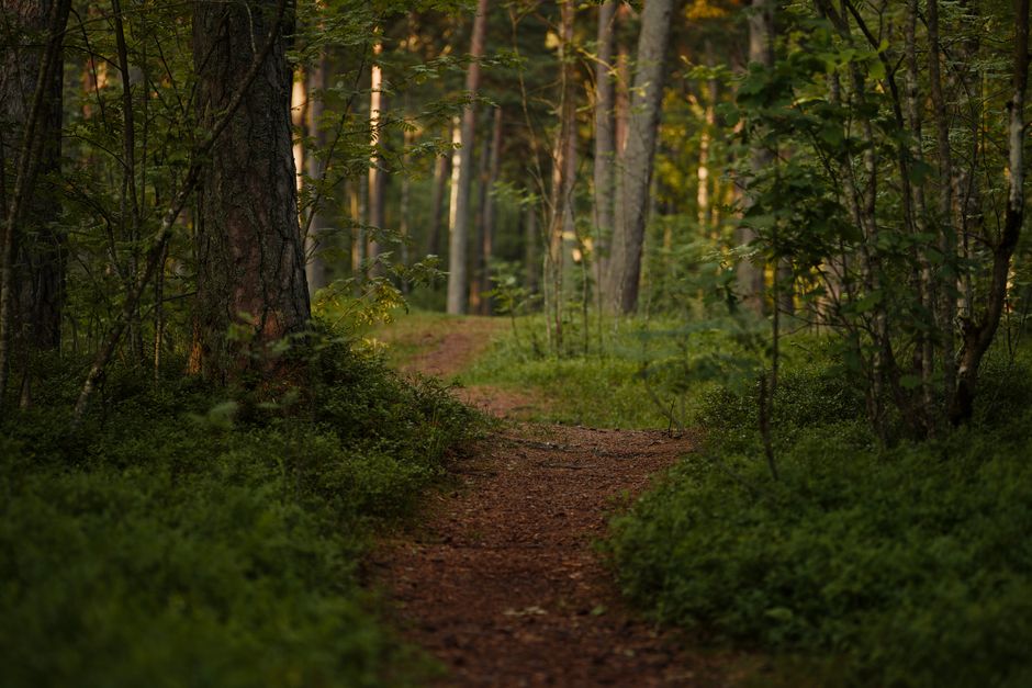 Understanding Wellness At Different Life Stages in Plain Terms