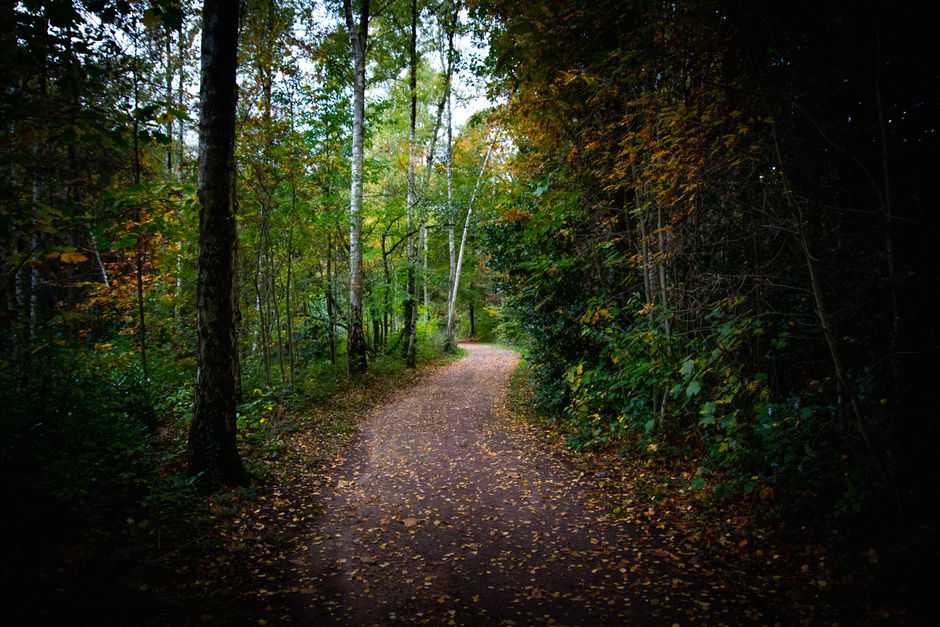 Understanding Wellness Without Perfectionism in Plain Terms