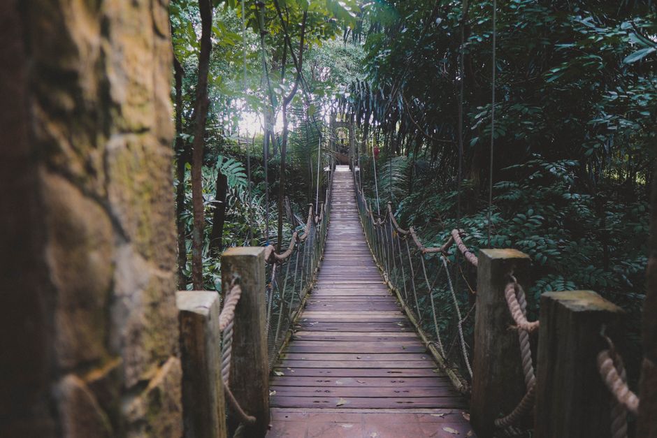 Wellness At Different Life Stages: Common Mistakes to Avoid