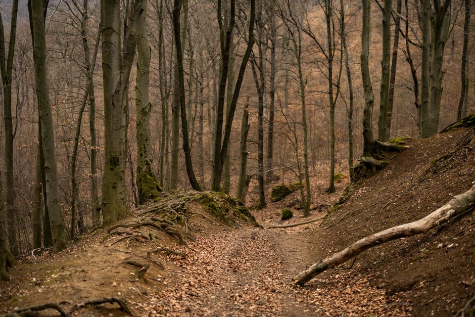 Wellness At Different Life Stages When You're Short on Time