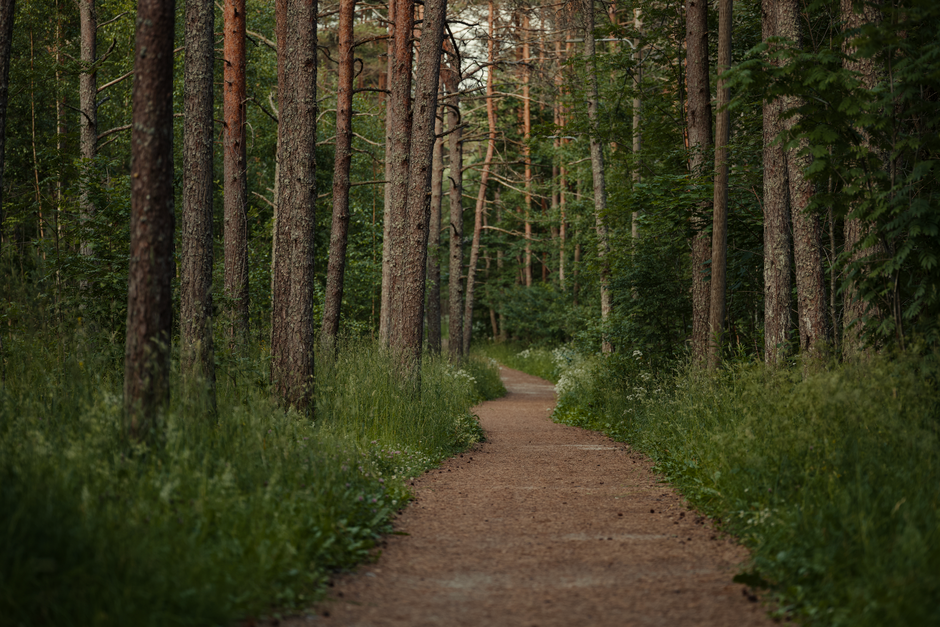 Wellness Without Perfectionism for Busy People — Part 2