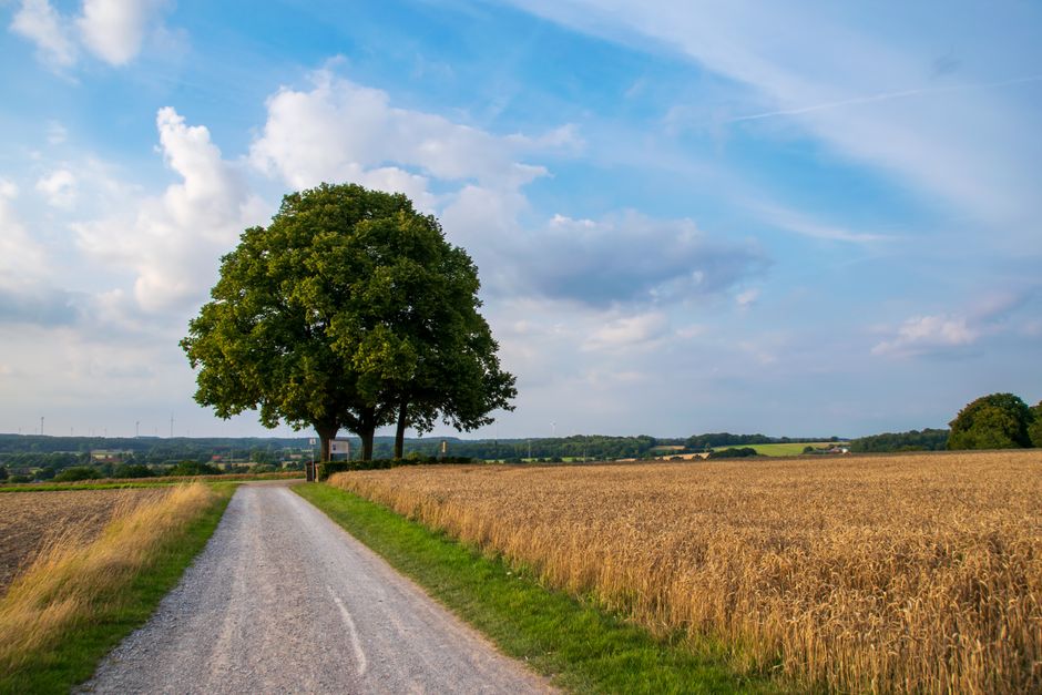 Where People Go Wrong With Habits: How They Actually Form