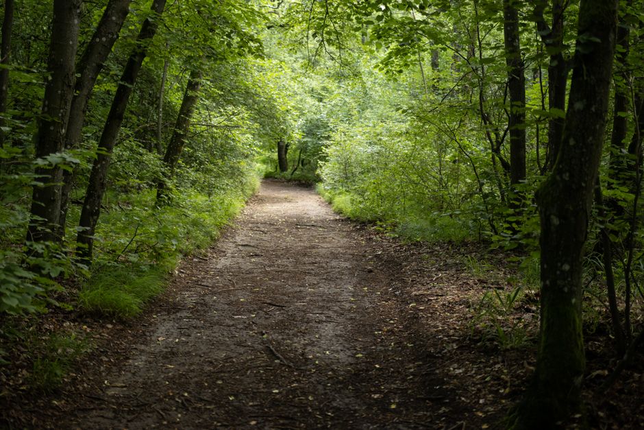 Where People Go Wrong With Health And Uncertainty