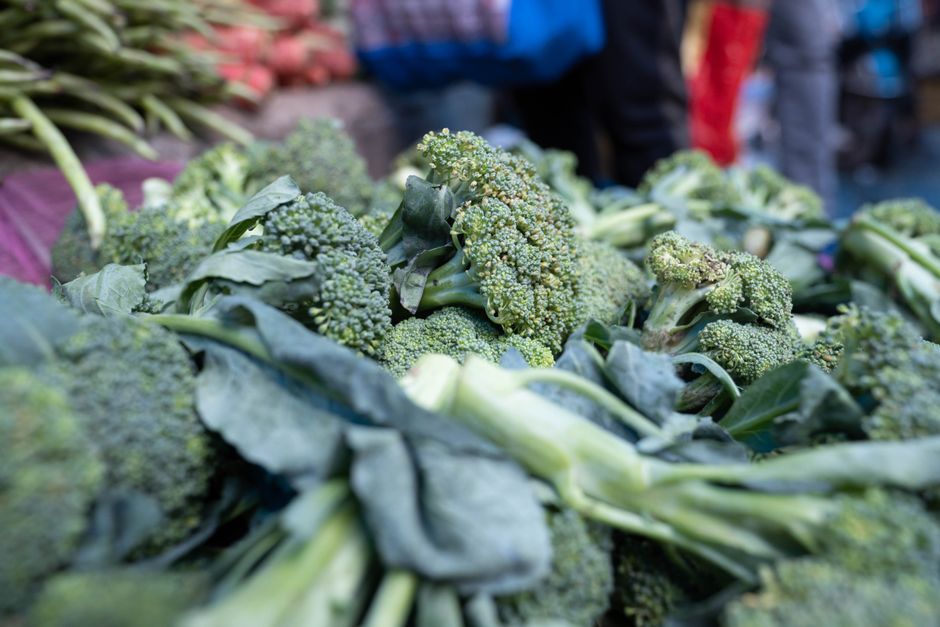 Where People Go Wrong With Probiotics In Plain Language, Explained Simply