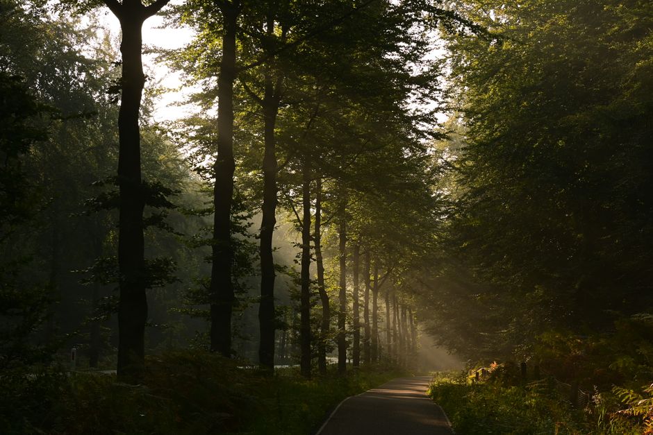 Where People Go Wrong With Stress: Signal, Response And Recovery