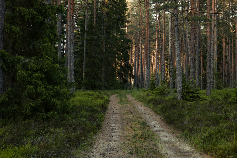 Where People Go Wrong With The Ordinary Virtues Of Walking
