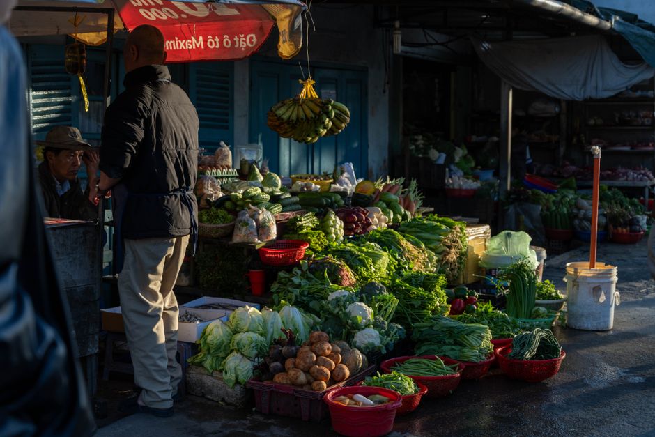 Where People Go Wrong With The Role Of Environment In Health