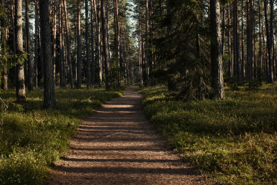Why Stress That Helps And Stress That Wears Is Worth Your Attention, on a Normal Week