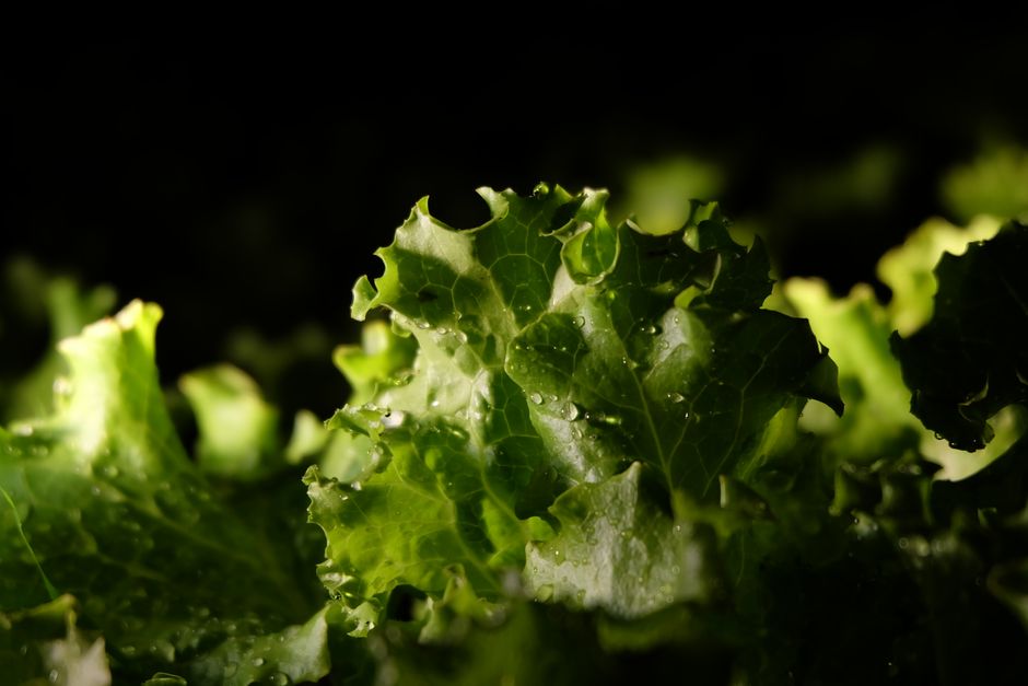 Why When A Supplement Is Not The Answer Is Worth Your Attention, on a Normal Week